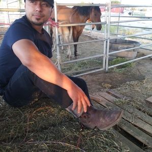 Meet your Posher, Ferny